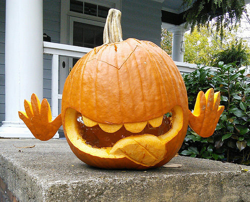 photo credit: Hitchhiker's Gourd via photopin (license)